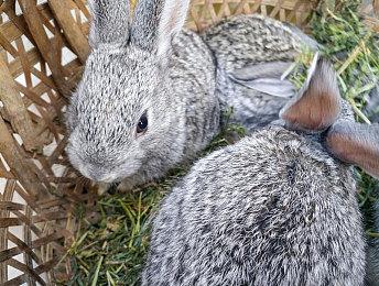 《法外枭雄：滚石城》下周发售 本周末最终测试